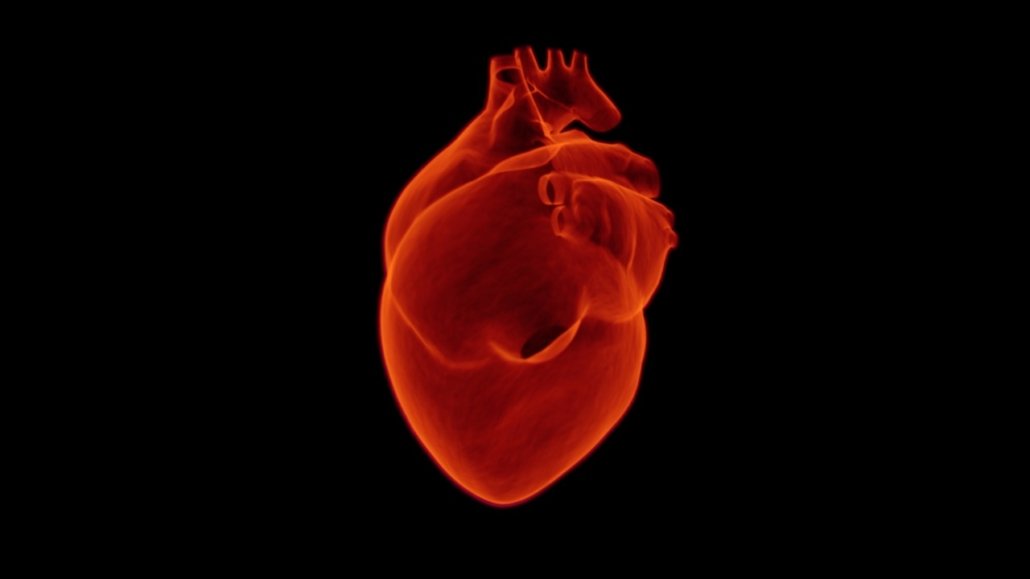 Angor et infarctus du myocarde 2 Angor et infarctus du myocarde infarctus du myocarde - angor - prise en charge par l'ambulancier